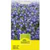 Lobelie, blau - Lobelia erinus - Samen