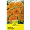 Ringelblume, gefüllt orange - Calendula officinalis - Samen