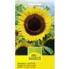 Sonnenblume Schnittwunder - Helianthus annuus - Samen