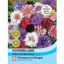 Kornblume Polka Dot Mischung - Centaurea cyanus - Samen