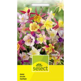 Akelei, Prachtmischung - Aquilegia-Hybriden - Samen