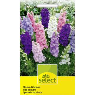 Rittersporn, Farbenmischung - Delphinium-Hybriden - Samen