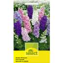 Rittersporn, Farbenmischung - Delphinium-Hybriden - Samen