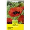 Mohn, orientalischer, grossblumig - Papaver orientale - Samen