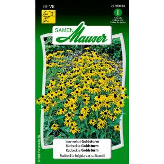 Sonnenhut Goldsturm - Rudbeckia fulgida var. Sullivantii - Samen