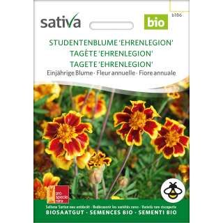 Studentenblume Ehrenlegion - Tagetes patula Nana- BIOSAMEN