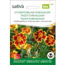 Studentenblume Ehrenlegion - Tagetes patula Nana- BIOSAMEN