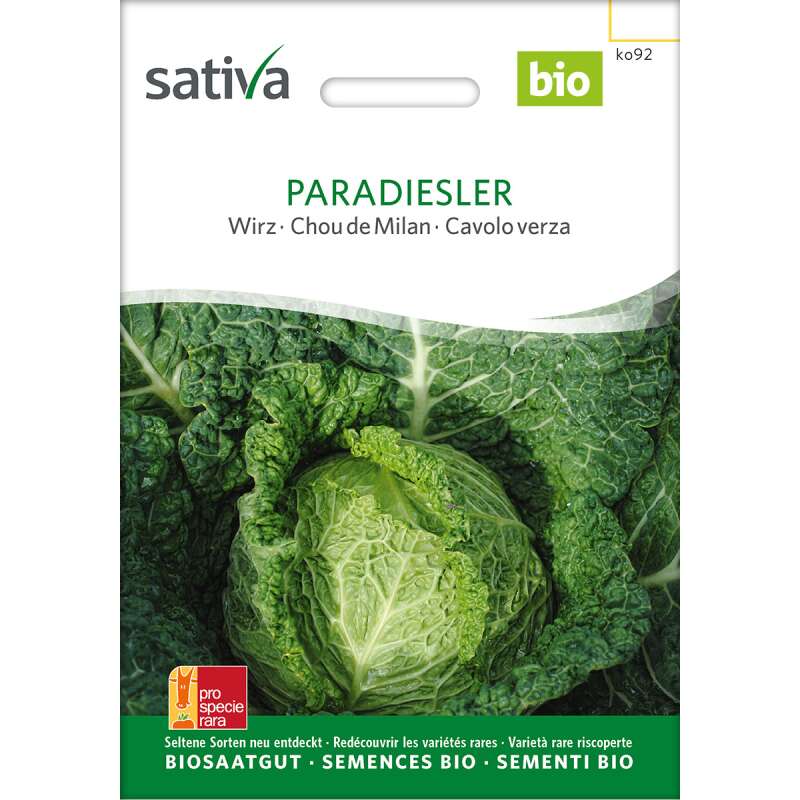 Wirz, Wirsing Paradiesler - Brassica oleracea capitata sabauda  - BIOSAMEN