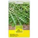 Salatrauke, Rucola Runway - Eruca sativa - Samen