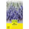 Lavendel - Lavandula angustifolia - Samen