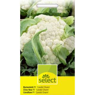 Blumenkohl Candid Charm F1 - Brassica oleracea - Samen