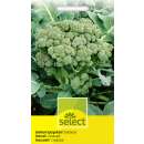 Broccoli Calabrais - Brassica oleracea silvestris - Samen