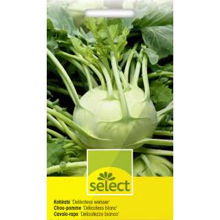 Kohlrabi Delikatess weisser - Brassica oleracea var. gongylodes - Samen