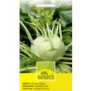 Kohlrabi Delikatess weisser - Brassica oleracea var....