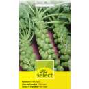 Rosenkohl Hilds Ideal - Brassica oleracea var. bullata - Samen