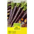 Karotte F1 Purple Haze - Daucus carota - Samen