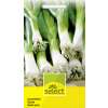 Schnittzwiebel, Lauchzwiebel - Allium fistulosum - Samen
