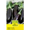 Aubergine, Eierfrucht Black King F1 - Solanum melongena -...