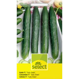 Gurke Tasty Green F1 - Cucumis sativus - Samen