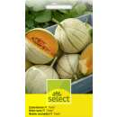 Melone, Zuckermelone Fiesta F1 - Cucumis melo - Samen