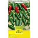 Jalapeno Paprika - Capsicum annuum - Samen