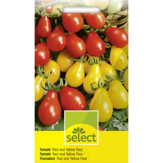 Tomate, Cherry Red Pear Yellow Pearshaped - Lycopersicon esculentum - Tomatensamen