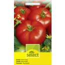 Tomate, Fleischtomate Marmande - Lycopersicon esculentum...