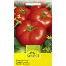 Tomate, Fleischtomate Marmande - Lycopersicon esculentum Mill. - Tomatensamen