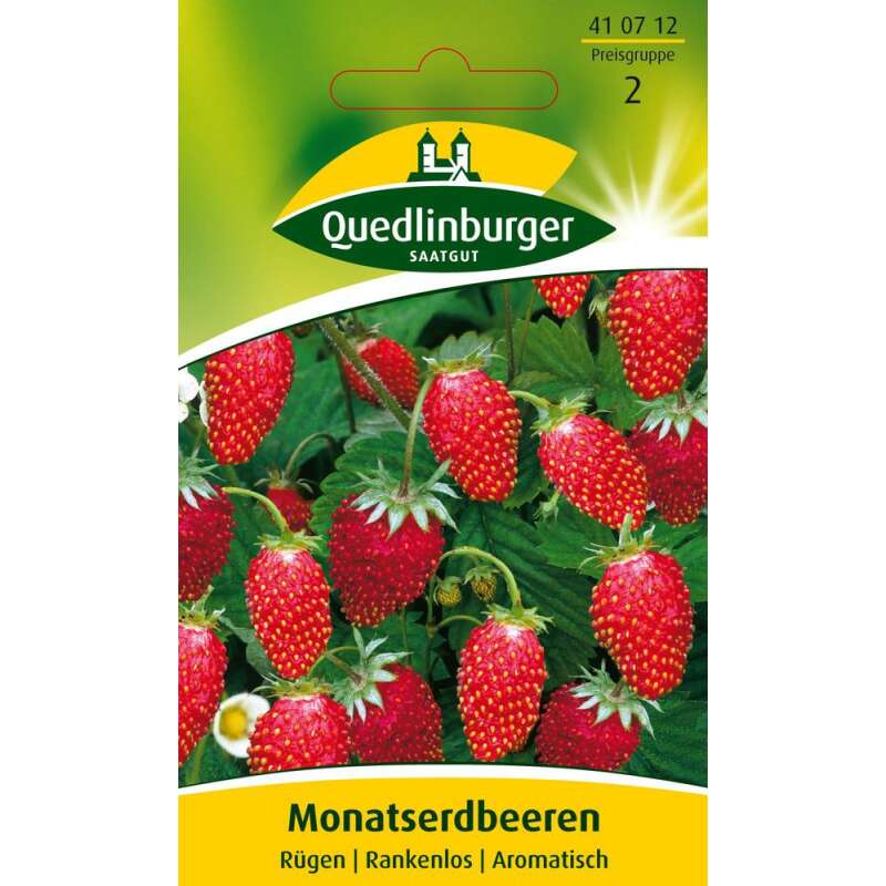 Erdbeere, Monatserdbeere Rügen - Fragaria vesca semperflorens - Samen