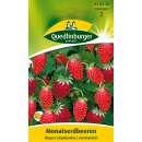 Erdbeere, Monatserdbeere Rügen - Fragaria vesca...