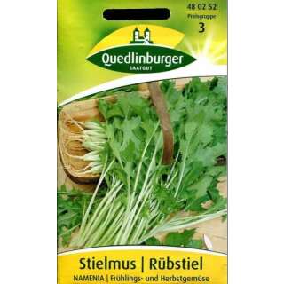 Stielmus, Rübstiel Namenia - Brassica rapa nipposinica - Samen