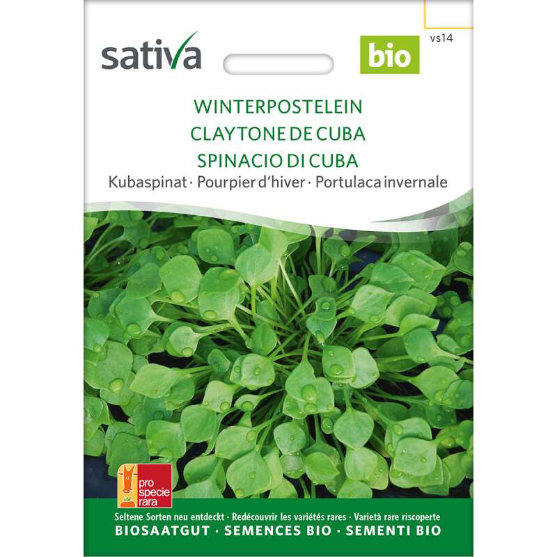 Winterportulak, Postelein - Claytonia perfoliata  - BIOSAMEN