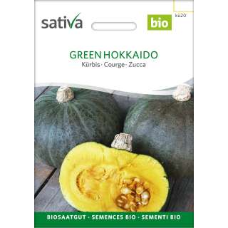 Kürbis Hokkaido grün - Cucurbita maxima  -...