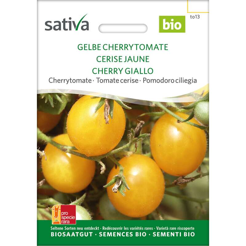 Tomate Gelbe Cherry - Lycopersicon esculentum  - BIOSAMEN