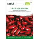 Buschbohne Canadian Wonder (Red Kidney) - Phaseolus vulgaris  - BIOSAMEN