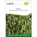 Kefe, Zuckererbse Norli - Pisum sativum  - BIOSAMEN