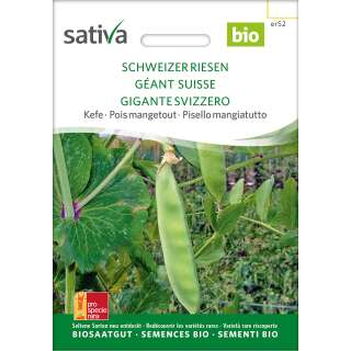 Kefe, Zuckererbse Schweizer Riesen - Pisum sativum  - BIOSAMEN