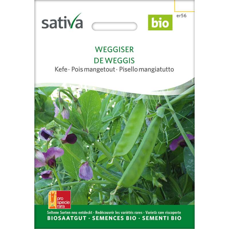 Kefe, Zuckererbse Weggiser - pisum sativum -BIOSAMEN