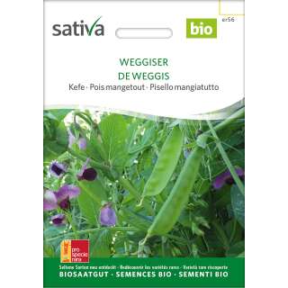 Kefe, Zuckererbse Weggiser - Pisum sativum - BIOSAMEN