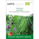 Kefe, Zuckererbse Weggiser - Pisum sativum - BIOSAMEN