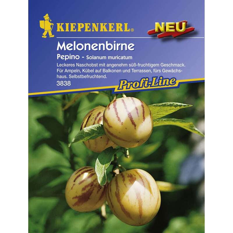 Birnenmelone Pepino - Solanum muricatum - Samen