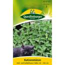 Katzenminze - Nepeta cataria - Samen