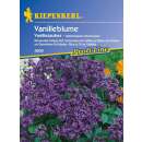 Vanilleblume - Heliotropium arborescens - Samen