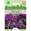 Ziertabak Perfume Deep Purple - Nicotiana x sanderae - Samen