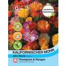 Kalifornischer Mohn Jelly Beans - Eschscholzia californica - Samen