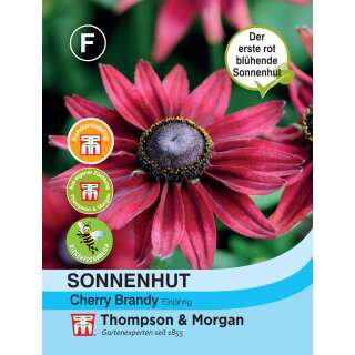 Sonnenhut, roter Cherry Brandy - Rudbeckia hirta - Samen