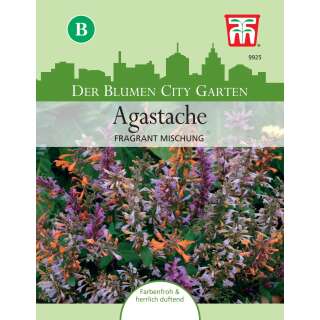 Agastache, Duftnessel Fragrant Mix - Agastache aurantiaca...