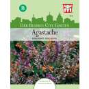 Agastache, Duftnessel Fragrant Mix - Agastache aurantiaca - Samen