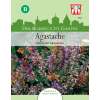 Agastache, Duftnessel Fragrant Mix - Agastache aurantiaca - Samen