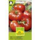 Tomate Königin von Sainte Marthe - Lycopersicon esculentum  - BIOSAMEN